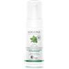 Logona Purify schiuma detergente micellare menta biologica & acido salicilico da corteccia di salice Schiuma detergente 100 ml