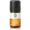 Primavera buon umore miscela aromatica Olio essenziale 5 ml