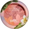 PHYSICIANS FORMULA Matte Monoi Butter Blush Fard 4.5 g Mauvy Mattes