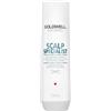 Goldwell Dualsenses Scalp Specialist Anti-Dandruff Shampoo Shampoo per capelli 250 ml