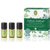 Primavera Duftende Waldkraft Set di fragranze 15 ml