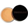 YOUNGBLOOD Hi-Def Hydrating Cipria in polvere 10 g Warmth