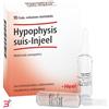 GUNA SpA HEEL HYPOPHYSIS SUIS INJEEL 10 FIALE