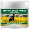 INTALY LAB SRL ARNICA 100% FORTE 500 ML