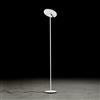 Holtkötter Naxos proiettore a soffitto, LED, 9940-1-8, Naxos [Lampade per Interni > Lampade a piantana]
