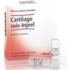 Guna Cartilago Suis-Injeel - Medicinale omeopatico per la funzionalità articolare, 10 fiale
