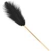 SuperLove Deluxe Ostrich Feather Tickler