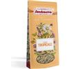 San Demetrio Sandemetrio Tisana Tropicale In Sacchetto 100 Gr