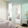 Dmora Scarpiera Eugene, Armadio portascarpe Alta a 1 Anta, Mobile portascarpe Moderno, Armadio da Ingresso con Specchio, 50x22h180 cm, Bianco
