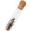 Horae - Infusore per tè e infusi in vetro trasparente microforato - Tappo in sughero - Resistente al calore - Adatto a tutte le tazze e teiere