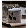 ethical grace - Shampoo e Balsamo Solido 2 in 1 Antiforfora - L'Incomparabile