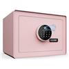 GOLDENKEY Cassetta di sicurezza digitale con serratura, piccola cassetta di sicurezza per soldi, serratura per impronte digitali, perfetta per casa, ufficio, hotel, lavoro, gioielli, pistole, uso di
