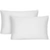 AUAUY Federe Cuscini Divano, Coppia Federe in Microfibra, Copricuscini Decorativi Anallergici Fodere Quadrate Antiacaro, Federe Cuscini Letto Matrimoniale Con Cerniera Nascosta (Bianco, 50 x 80cm)
