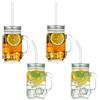Glasseam Barattoli Di Vetro Vintage Con Coperchio Da 500 Ml - Set Di 4 Con Cannuccia Riutilizzabile - Tazze Con Manico Per Conservare Colazione, Avena, Snack