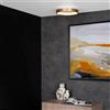 Lucide VIDAL lampada a soffitto, LED, 46103/20/02, VIDAL [Lampade per Interni > Lampade a Soffitto]