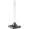 Kartell Goodnight Lampada Ricaricabile dimmerabile, Titanio lucido, H 29 cm