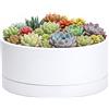 D'vine Dev Fioriera bassa in plastica da 25 cm, grande vaso rotondo per piante grasse con foro di drenaggio e salsa, vaso decorativo per bonsai per piante da interno, bianco, 76-A-M-1
