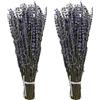 Aisamco 2 Mazzi Lavanda Essiccata 40cm | Fiori veri, Casa matrimonio, Erba profumata, Stile Provenza, Pot-pourri