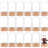 BENECREAT 30 Vasetti Vetro 20ml con Cupola Cloche, Espositore In Vetro Bottiglie con Decorazione A Cupola A Cloche con Tappi In Sughero - Espositori per Bomboniere e Progetti Artistici