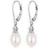jiamiaoi Orecchini di Perle da Donna, Orecchini Donna in Argento 925 con Perle Pendenti per Ragazze Ipoallergenici Regalo di Gioielli