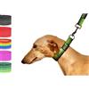Bub's Collana Martingale - Collare per cane di medie e piccole. Progettato per tutti i tipi di razze di cani e in particolato per levrieri (controllo dimensioni: collo 22 a 35). (Verde)