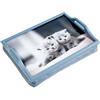 Aidapt - Vassoio in legno con cuscino, motivo: gattini, colore: Grigio