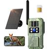 BECAMSO 4G LTE Telecamera Esterno Solare Fototrappola: 2.7K HD Fotocamera Visione Notturna Colori - Impermeabilità IP66 Telecamere Esterno Batteria 8000 mAh con Sim