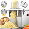 NEWTRY 3 in 1 Commerciale Affettaverdure elettrico - Processore Alimenti 200 W con Carcassa in Acciaio Inox, Taglio a Cubetti, Grattugiatura e Laminazione,150kg/ora