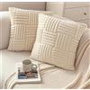 Woplagyreat Federe Cuscini Divano 40 x 40 Confezione da 2 Fodere Cuscino Copricuscini Copri Federa Copricuscino Decorativi Arredo Pillow Cover Decorativo Casa Soprammobili Moderni Striscia Beige Peluche