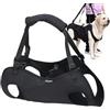 Huitrcrio Imbracatura Per Sollevamento Cani Per Scale, Imbracatura Di Sollevamento/Trasporto Per Cani, Imbracatura Per Cani Zampe Posteriori Con Cinghia Regolabile, Imbracatura Per Cani Disabili E Cani Anziani