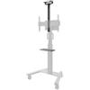 NEOMOUNTS Accessorio Supporto monitor Neomounts AV1-825BL Videobar e Kit multimediale 9kg Nero [TLNOMLAAV1825BL]