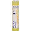 Boiron BERBERIS VULGARIS (BOIRON)*80 granuli 4 CH contenitore multidose g Granuli