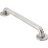 Moen 8716 Home - Maniglione da bagno, in acciaio INOX
