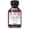 Davines Ntech Calmante Shampoo - 100 ml