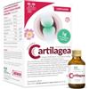 Salugea (reload) Cartilagea