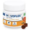 VIRBAC SRL MOVOFLEX S 30CPR MASTICABILI