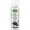 Rausch Ag Kreuzlingen Rausch Dry Shampoo 50 Ml