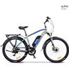 ARGENTO Bicicletta Con Pedalata Assistita Alpha