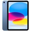 Apple 11-inch iPad Wi-Fi 256GB (A16) - Blu - MD4H4TY/A - iPad>iPad Wi-Fi
