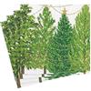 Caspari Tovaglioli di carta con alberi di Natale con luci, 20 per confezione