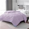 WAVVE Piumino Quattro 4 Stagioni Letto Singolo 155 x 220 - Piumone Autunnale Invernale 155x220 - Trapunta 220x155, Microfibra Sintetica, Caldo, Morbido, Lila