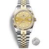 RollsTimi PD1645 Orologio da uomo 43mm Movimento automatico 100M resistente all'acqua, acciaio inossidabile, specchio zaffiro, orologio sportivo business.