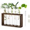 Glasseam Vaso Interno Decorativi Fiori Vetro: Moderni Vasi Provetta Porta Con Supporto In Legno Eleganti Stazione Di Propagazione Per Talee Piante Idroponico Tavolo