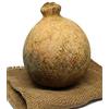 La Campania dei Sapori Caciocavallo Campano dei Monti Lattari stagionato 12 mesi da circa 1,2 kg