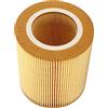 Yctze Filtro Aria per Auto Filtro Aria Standard per Auto Originale C1250 AF26419 1613872000 627962001500 627962012500 4755371 569 006 101 569 006 1661P Altezza 134mm/5.3in