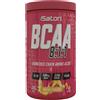 ISATORI BCAA 8:1:1 240 grammi Arancia