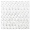 COLOPLAST SpA Biatain Fiber 33506 15x15cm Coloplast 5 Pezzi