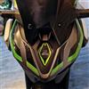 Resin Bike Adesivi Moto Compatibile con Kawasaki Z900 2025-2026. Protezioni Puntale Frontale Antigraffio e Antiurto. Adesivi Resinati 3D Made in Italy
