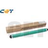 Ricoh Parts&Toner Cyan - RICE101069