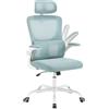 WOLTU Sedia Ufficio Ergonomica, Sedie Ufficio a Rete Traspirante, Con Supporto Lombare Adattativo a Forma Di C, Poggiatesta Regolabile, Braccioli Ribaltabili, per Scrivania, Casa, Blu